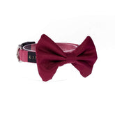 COLLAR DE CORBATÍN  / BÁSICO VINOTINTO